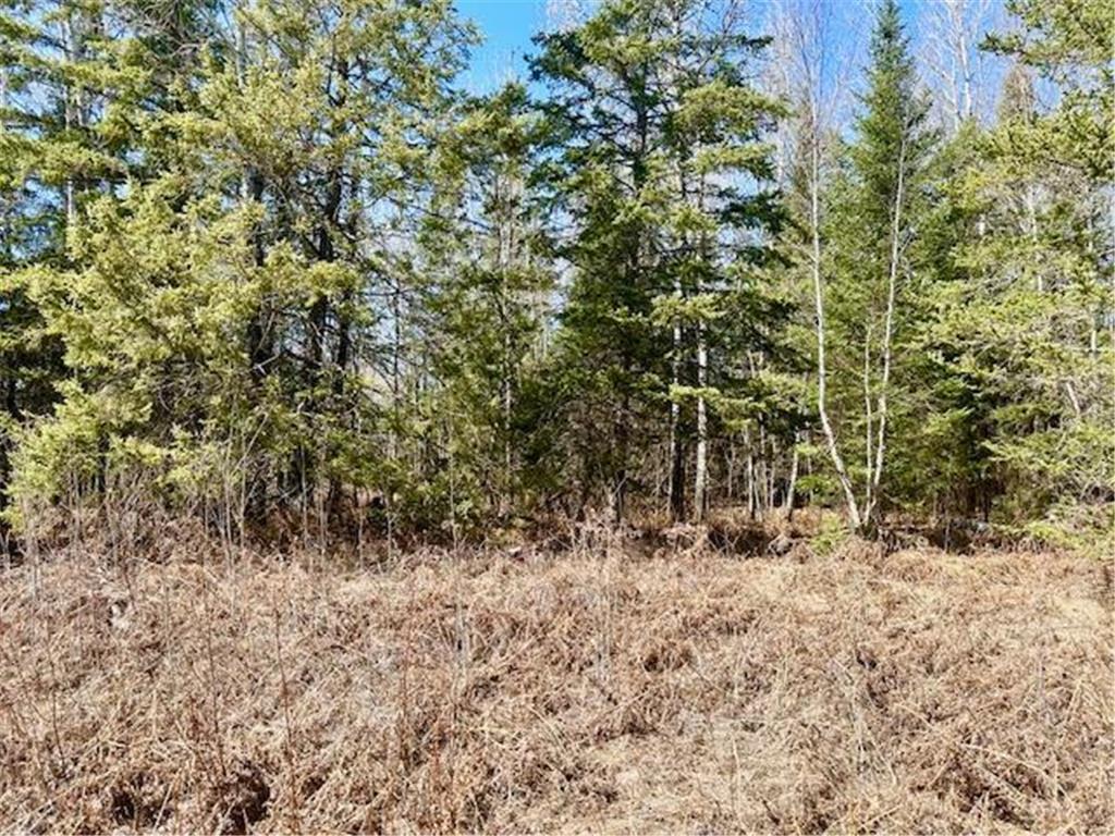 3444 Highway 5 S Hibbing MN 55746 7059423 image6