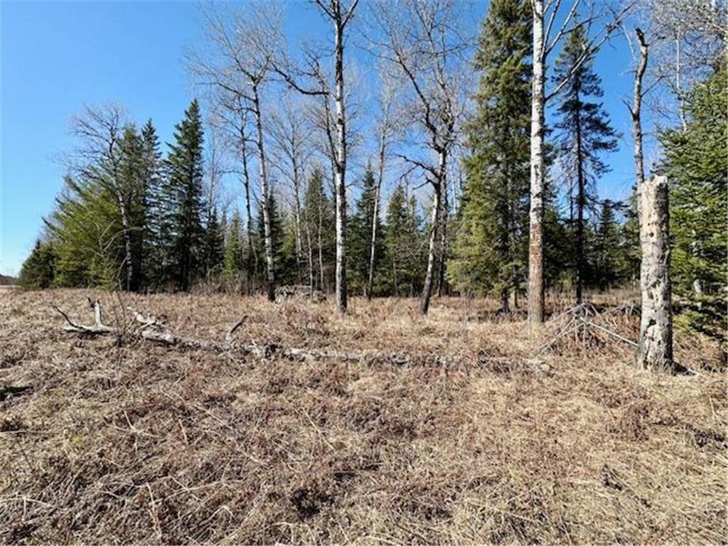 3444 Highway 5 S Hibbing MN 55746 7059423 image8