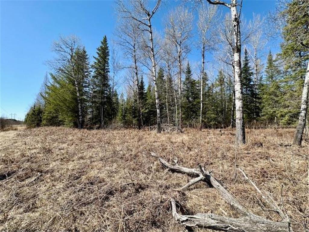 3444 Highway 5 S Hibbing MN 55746 7059423 image9