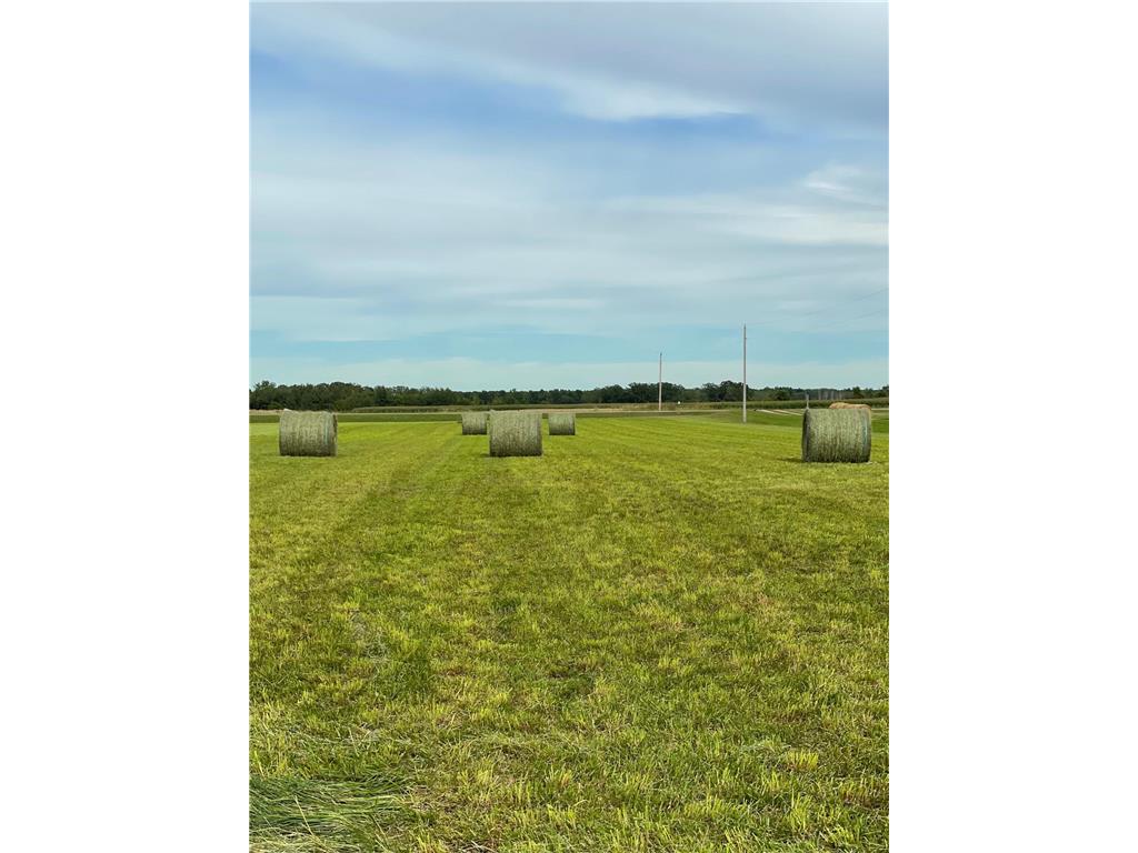 34473 County Highway 143 Bluffton Twp MN 56518 7047190 image46