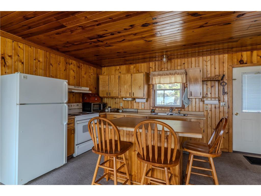 34479 E Trinity Point Road SE Mentor MN 56736 - Maple Lake 7073665 image4