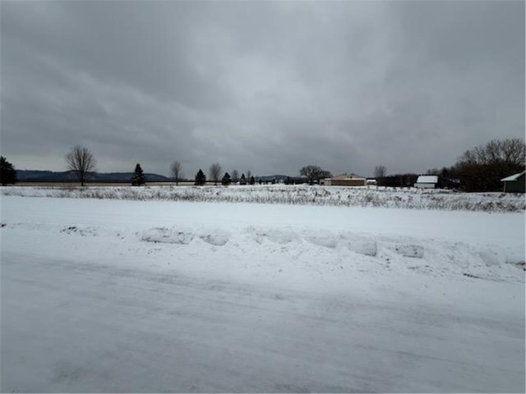 34489 Airport Court Florence Twp MN 55026 6826442 image2