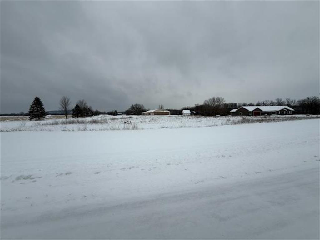 34489 Airport Court Florence Twp MN 55026 6826442 image3