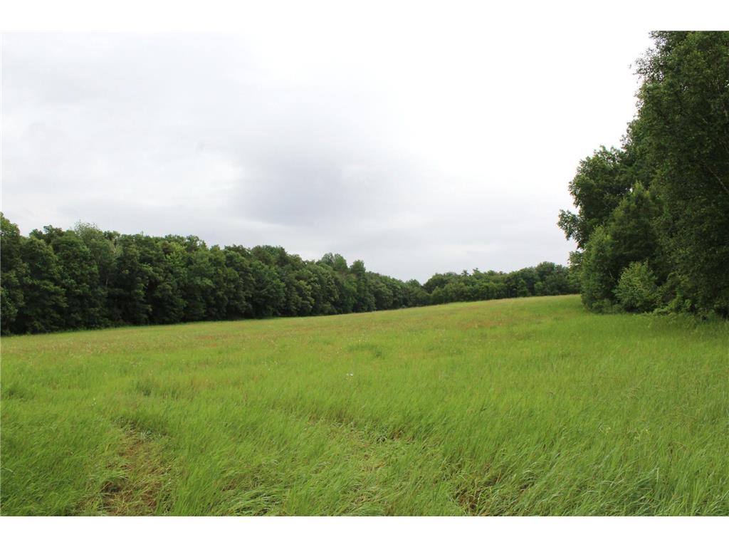 34497 Quiken Road Motley MN 56466 6745295 image36