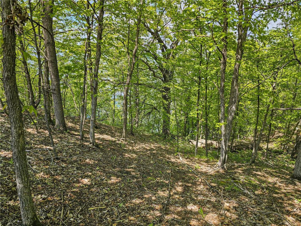 344XX 452nd St [A4] Vergas MN 56587 - East Loon 7052994 image13