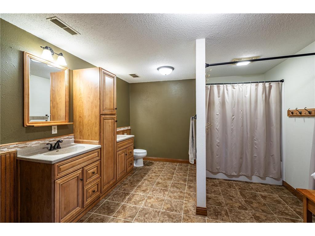 34506 Pleasant Point Drive Homer Twp MN 55987 6697596 image19