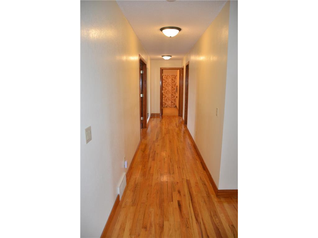 34506 Pleasant Point Drive Homer Twp MN 55987 6697596 image26