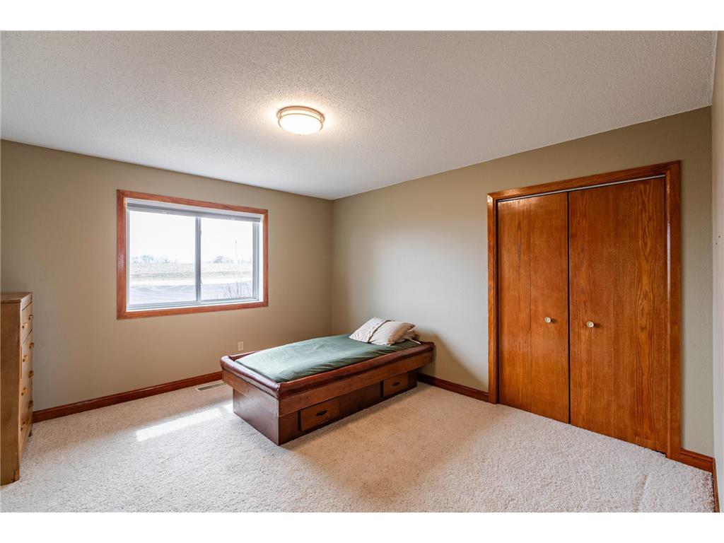 34506 Pleasant Point Drive Homer Twp MN 55987 6697596 image35