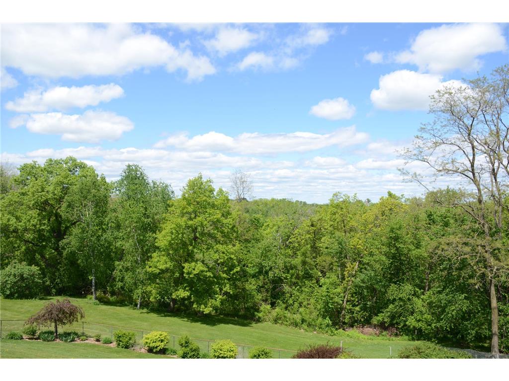 34506 Pleasant Point Drive Homer Twp MN 55987 6697596 image70