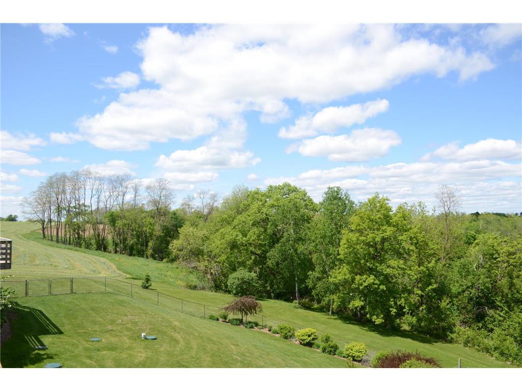 34506 Pleasant Point Drive Homer Twp MN 55987 6697596 image71