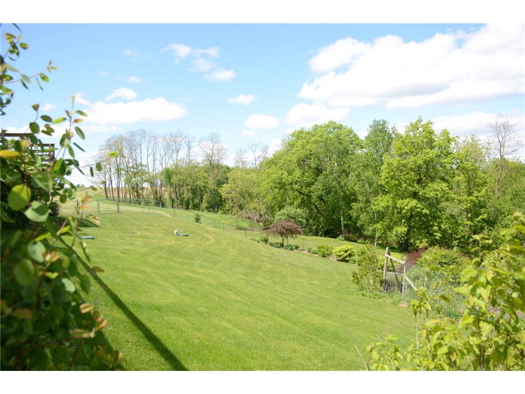 34506 Pleasant Point Drive Homer Twp MN 55987 6697596 image74