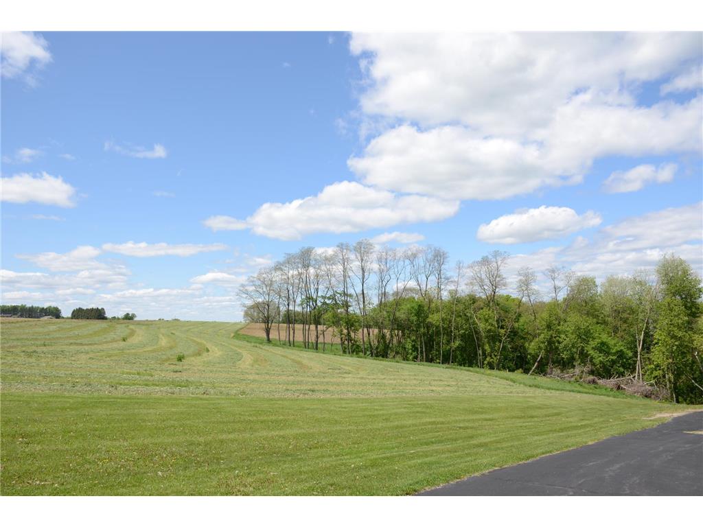 34506 Pleasant Point Drive Homer Twp MN 55987 6697596 image75