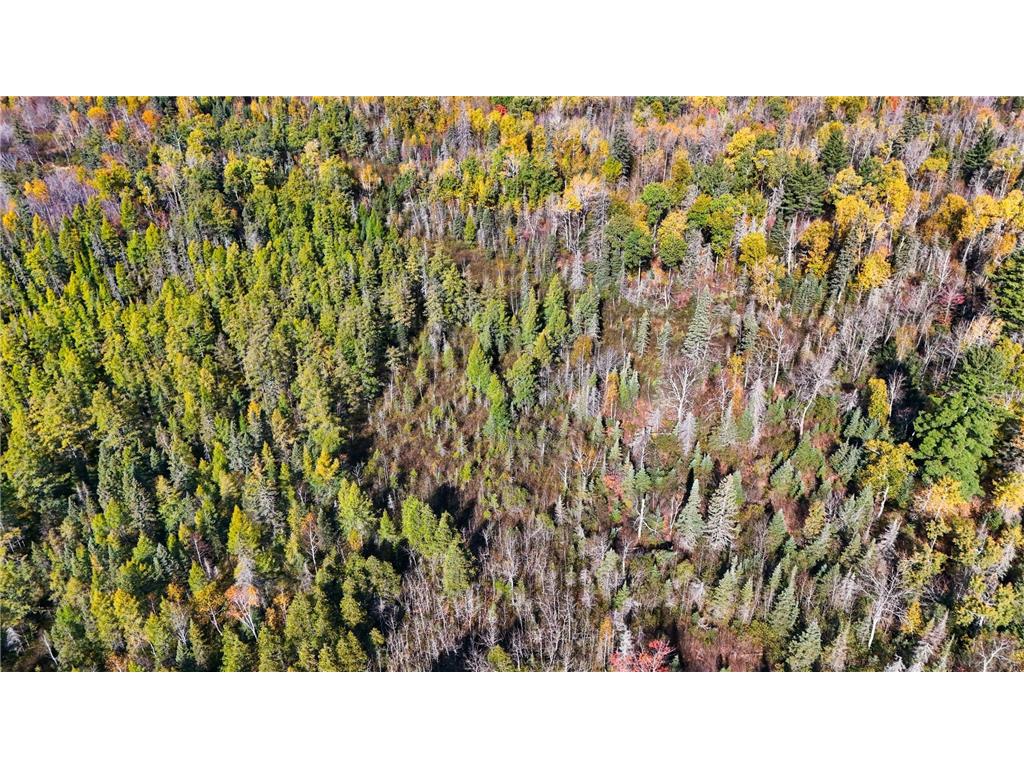 3451 Drummond Grade Two Harbors MN 55616 6817302 image30