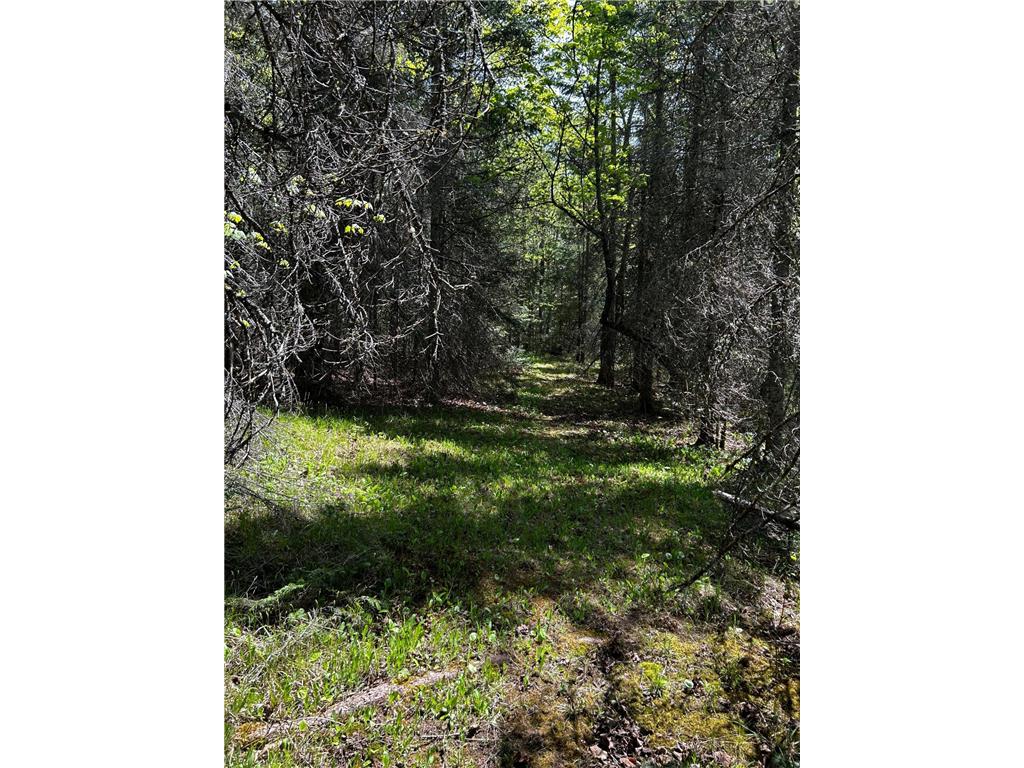 3451 E Alger Grade Silver Creek Twp MN 55616 - Gooseberry River 7088177 image20