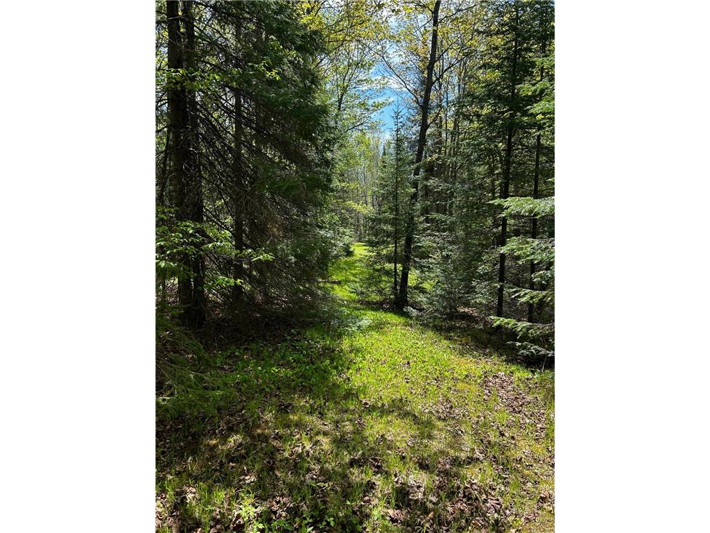 3451 E Alger Grade Silver Creek Twp MN 55616 - Gooseberry River 7088177 image23