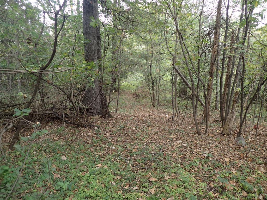 3452 Roosevelt Road Saint Cloud MN 56301 - Plum Creek 6671013 image2