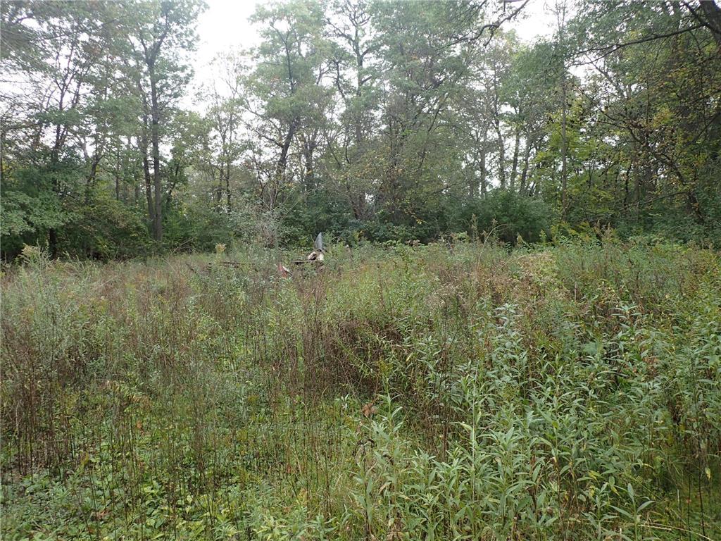 3452 Roosevelt Road Saint Cloud MN 56301 - Plum Creek 6671013 image5