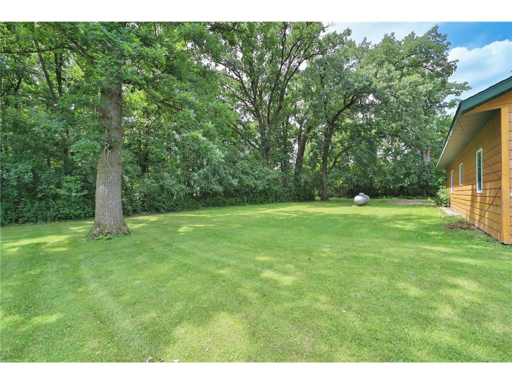 34564 141st Avenue Eagle Bend MN 56446 7102505 image27