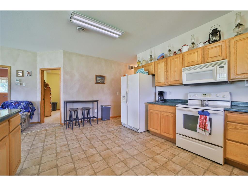 34564 141st Avenue Eagle Bend MN 56446 7102505 image6