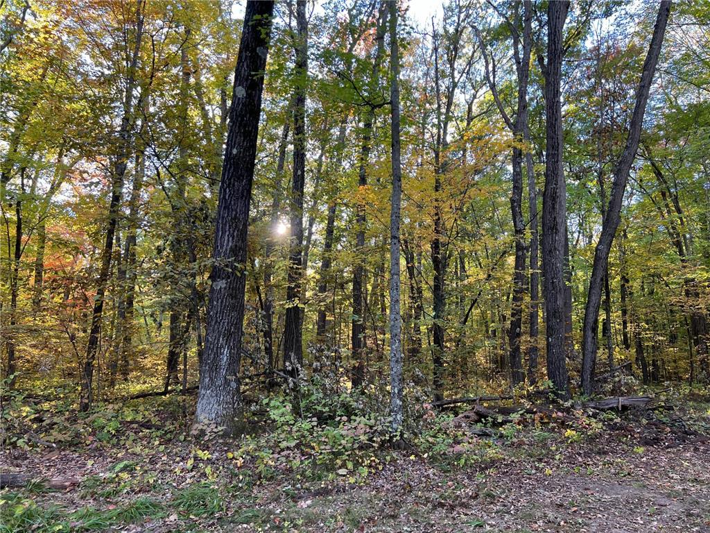 3459 103 Street Clam Falls WI 54837 6615286 image1