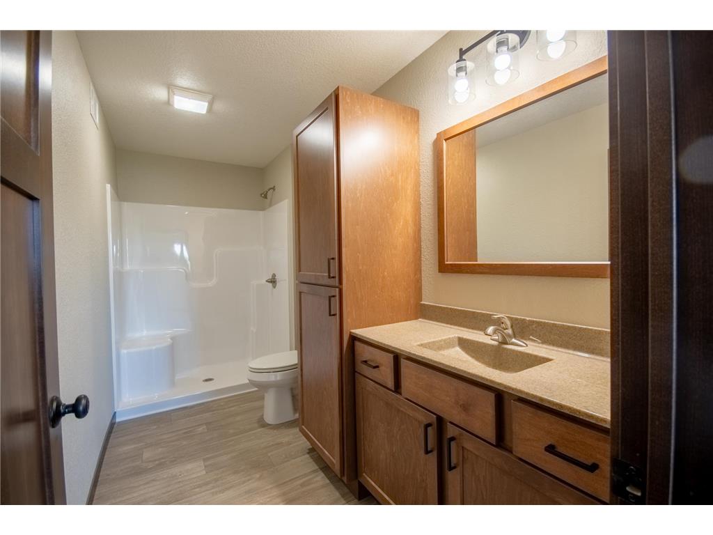 346 Halfaday Drive Sauk Centre MN 56378 7076051 image18