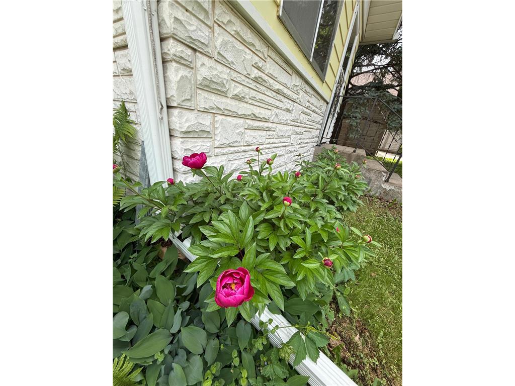 346 Vance Street Saint Paul MN 55102 7081407 image2