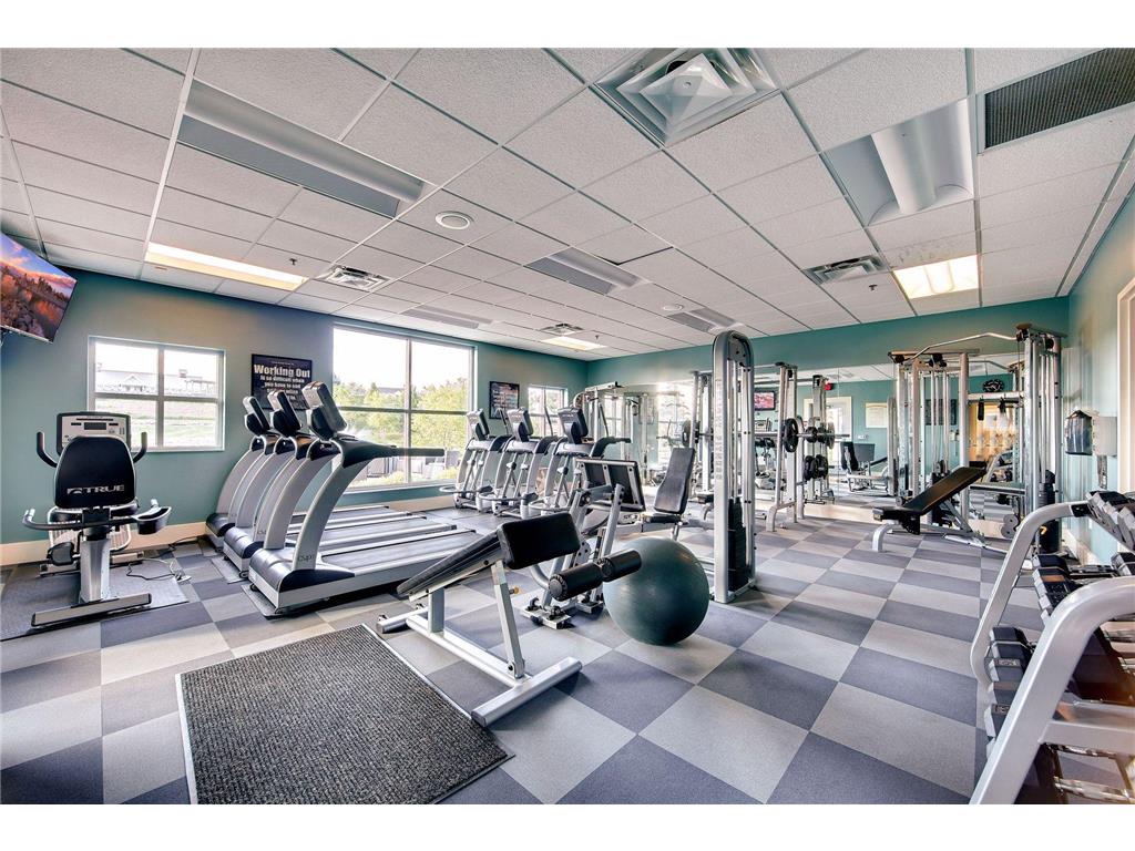 3466 Windmill Curve Woodbury MN 55129 7057501 image90