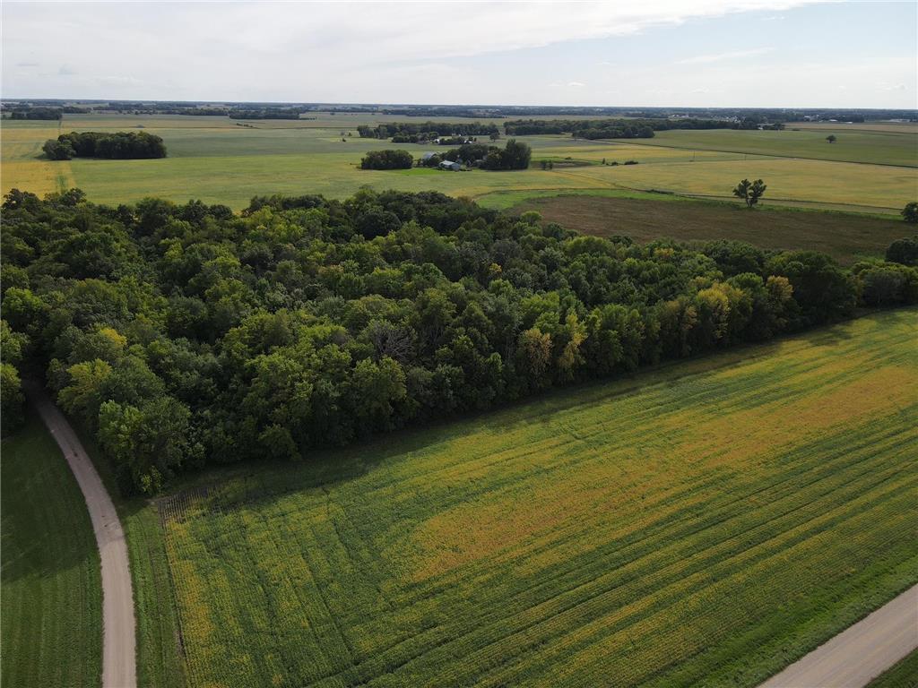 346xx 170th Street, Hamburg, MN, 55339 MLS 6163515 Edina Realty