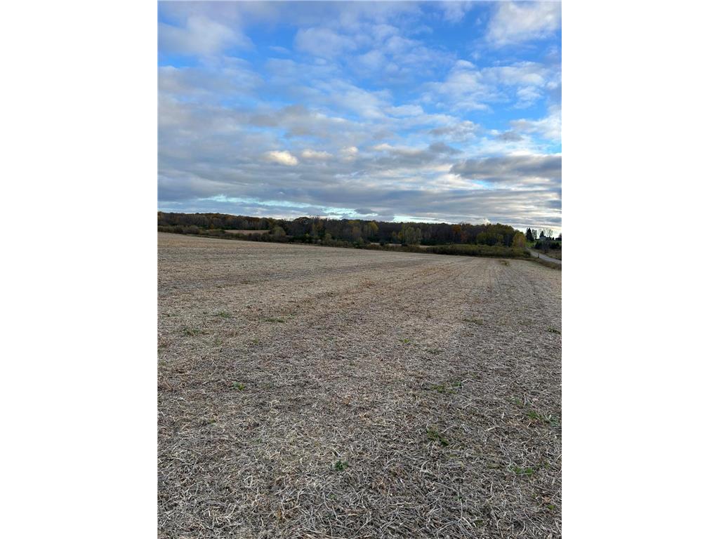 347 250th Street Eau Galle Twp WI 54028 6808371 image1