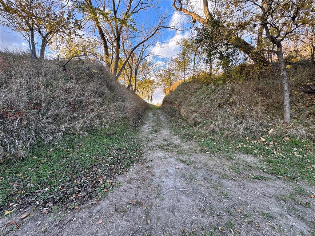 34701 State Highway 7 Foster Twp MN 56225 - BIG STONE 6806025 image11