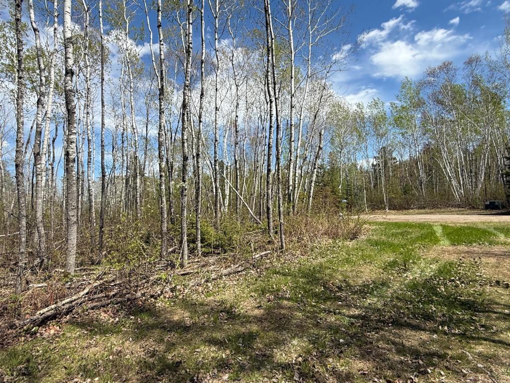 34703 Micheau Drive Laporte MN 56461 7082841 image3