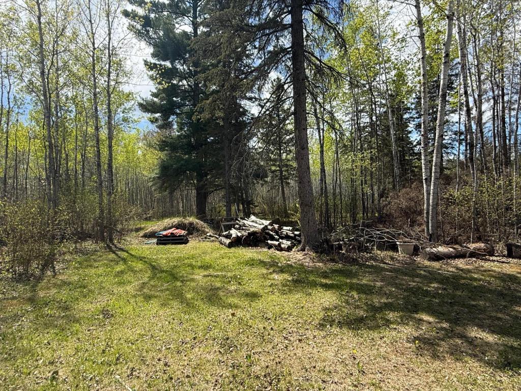 34703 Micheau Drive Laporte MN 56461 7082841 image5