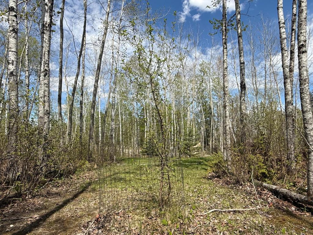 34703 Micheau Drive Laporte MN 56461 7082841 image9