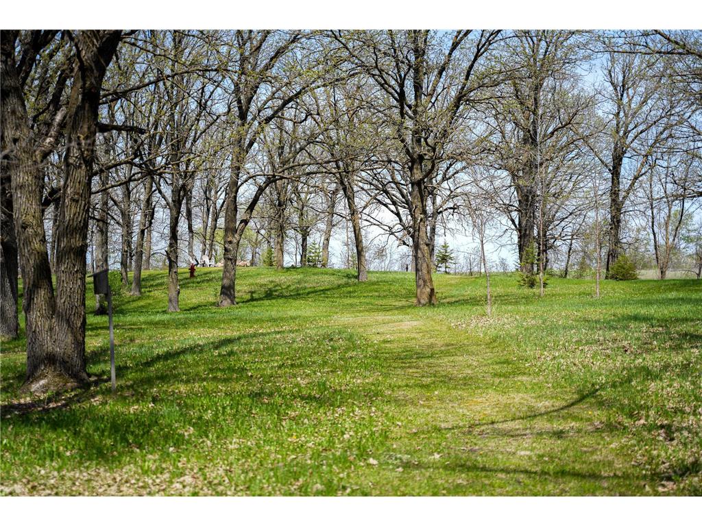 34708 330th Avenue SE Brandsvold Twp MN 56542 7076882 image48