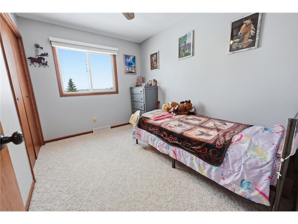 34713 73rd Street Pierz MN 56364 7007830 image22