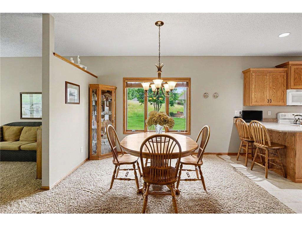 3476 Briarview Court Red Wing MN 55066 7098934 image10