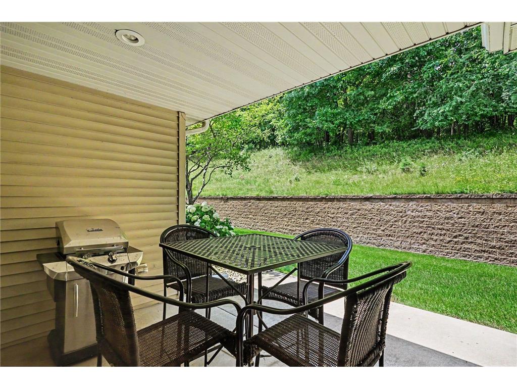 3476 Briarview Court Red Wing MN 55066 7098934 image30