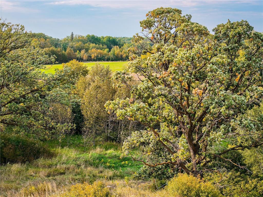 34774 400th ST St SE Fosston MN 56542 6823357 image22