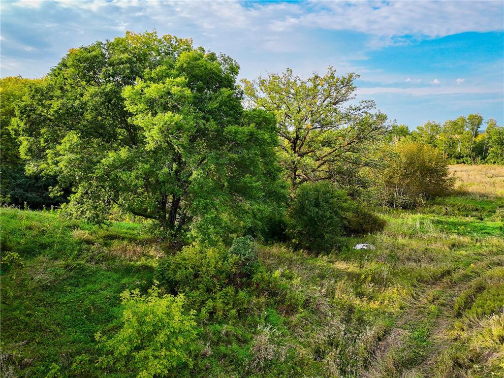 34774 400th ST St SE Fosston MN 56542 6823357 image24