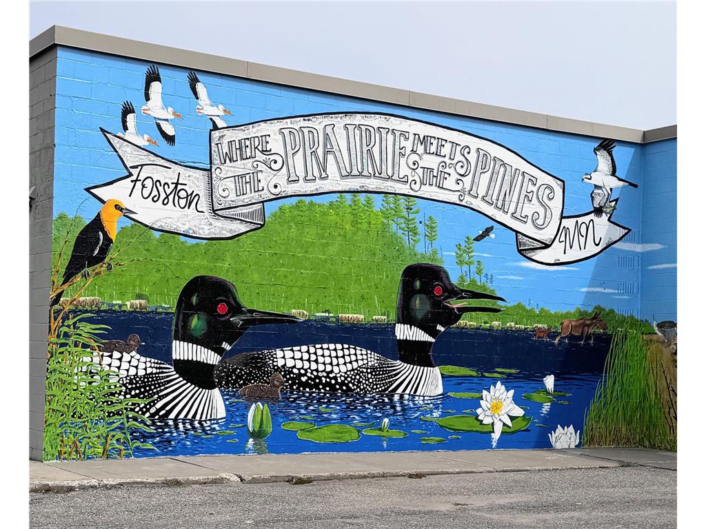 34774 400th ST St SE Fosston MN 56542 6823357 image49