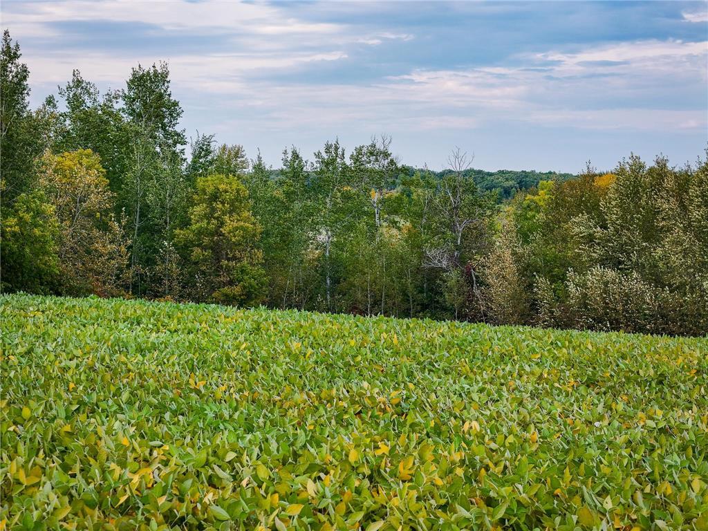 34774 400th Street SE Fosston MN 56542 6789097 image24