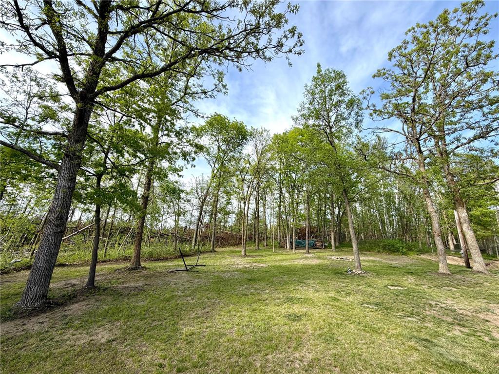 3478 Buchanan Avenue SW Bemidji Twp MN 56601 7078402 image70