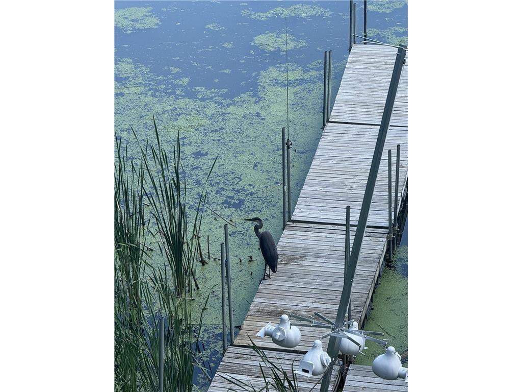 348 105th Street NW Oronoco Twp MN 55960 - Zumbro 7039112 image45