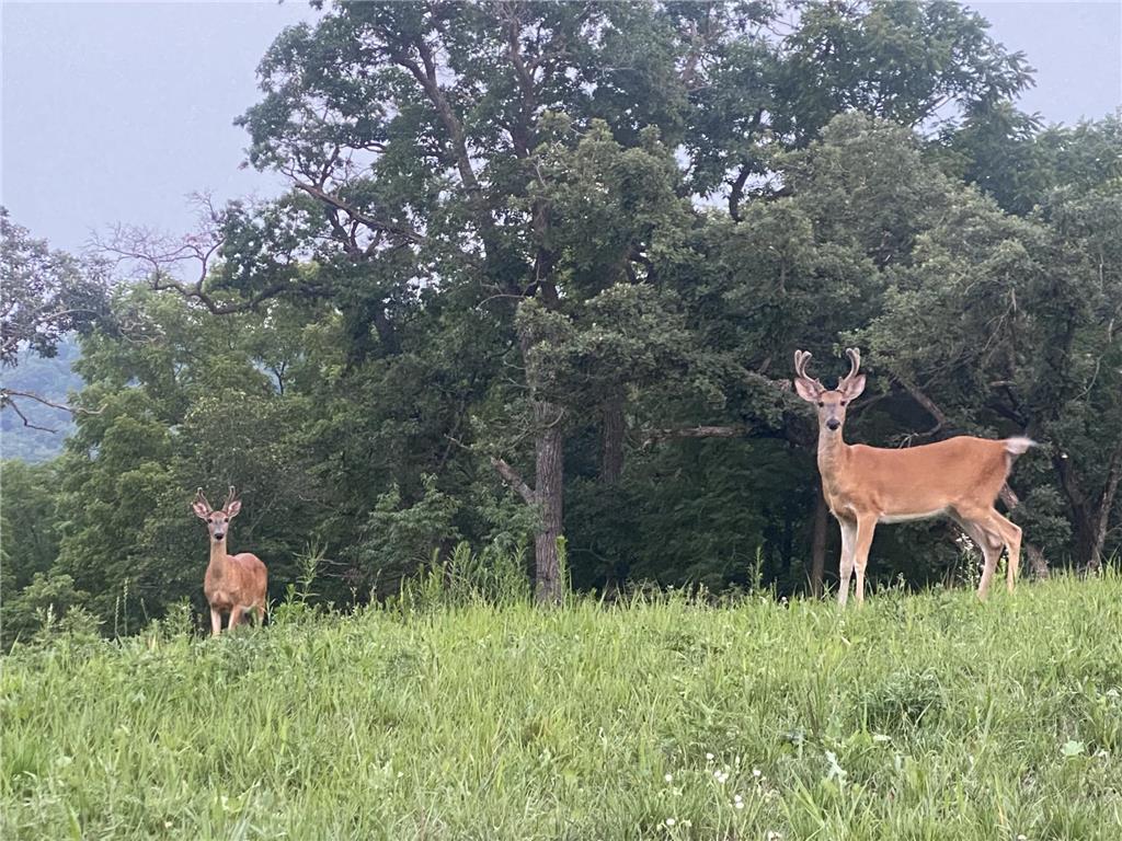 348 105th Street NW Oronoco Twp MN 55960 - Zumbro 7039112 image46