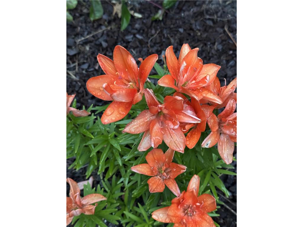 348 105th Street NW Oronoco Twp MN 55960 - Zumbro 7039112 image47