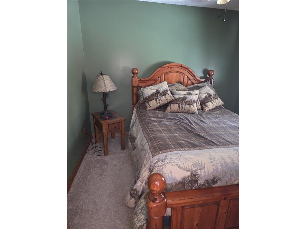 34812 E County Road 218 Grand Rapids MN 55744 - McAvity 7022312 image23