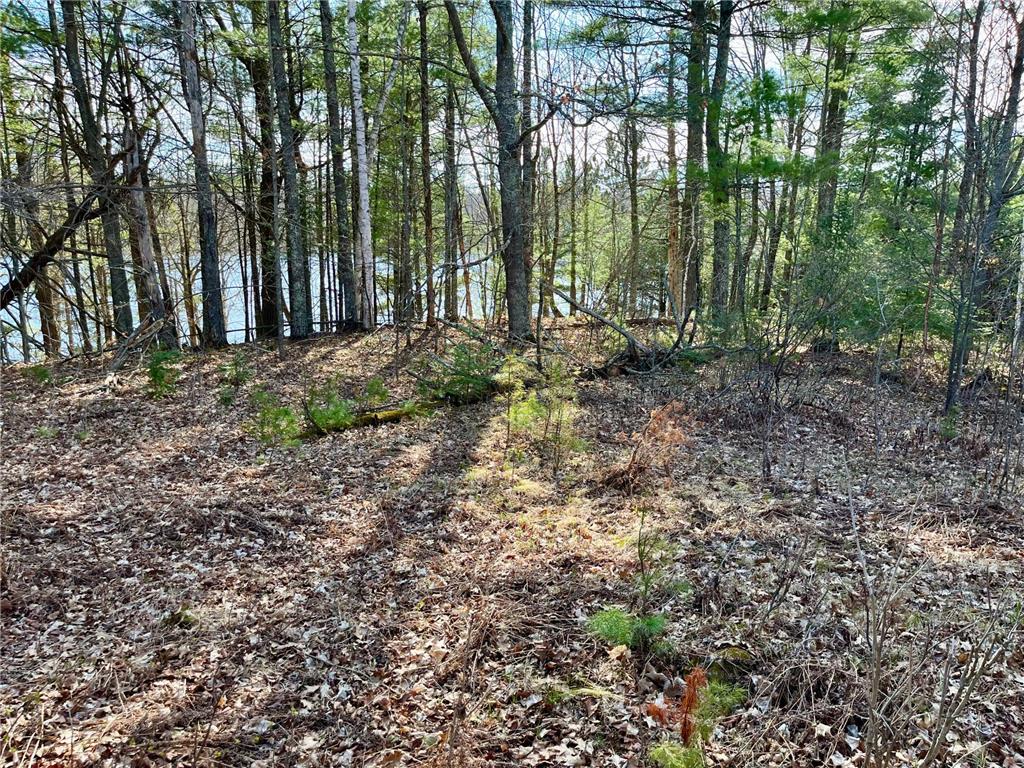 34812 E County Road 218 Grand Rapids MN 55744 - McAvity 7022312 image48