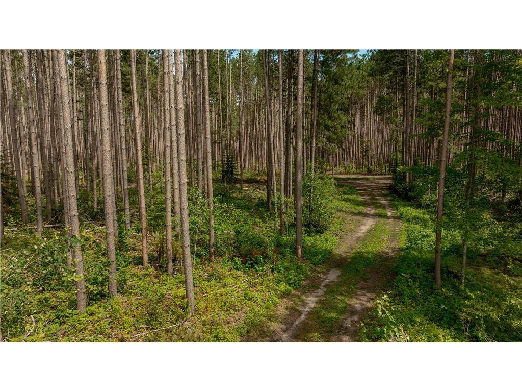 3488 State 200 NW Walker MN 56484 - Leech Lake 6745231 image27