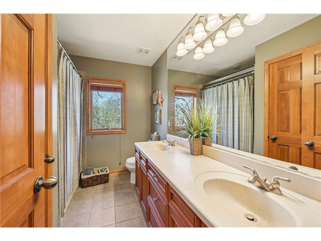 3489 Wolfberry Court Eagan MN 55123 7057838 image29