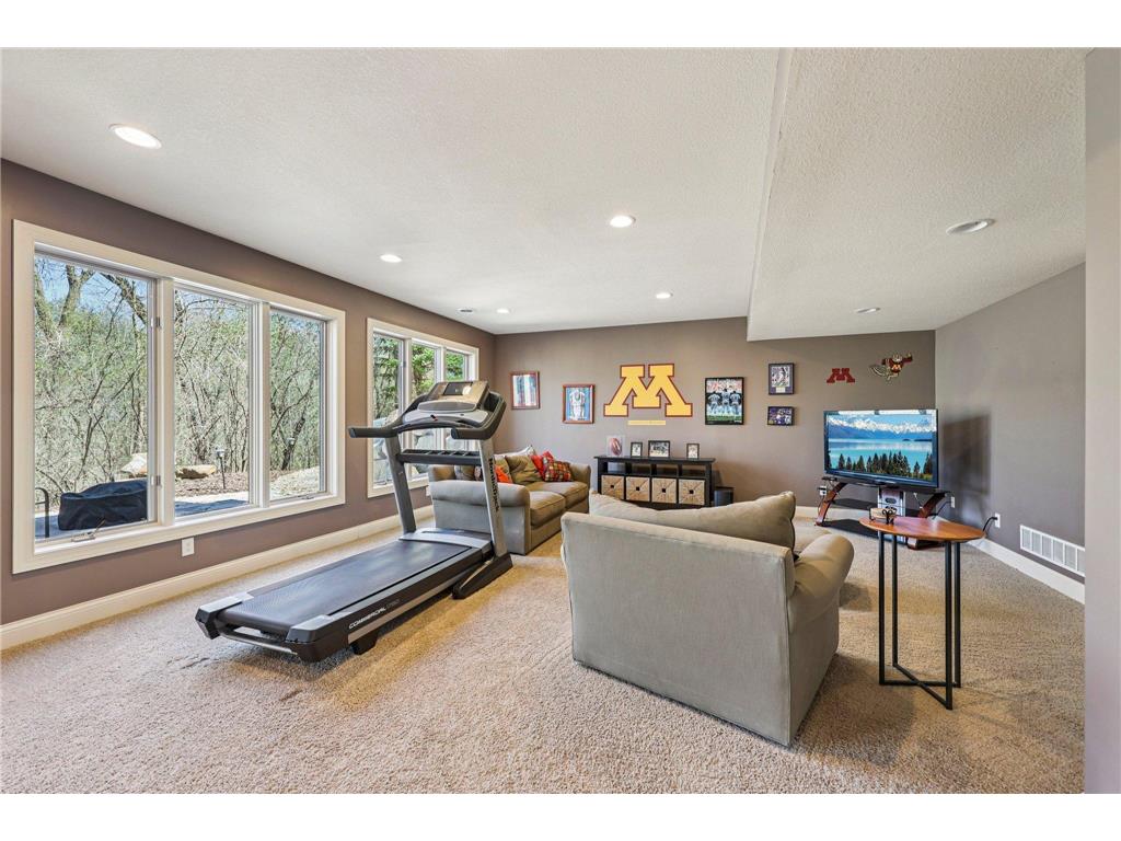 3489 Wolfberry Court Eagan MN 55123 7057838 image35